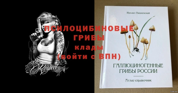МДМА Богданович