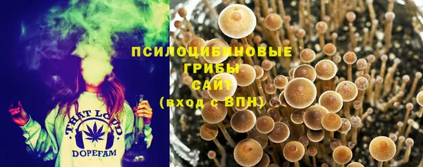 МДМА Богданович