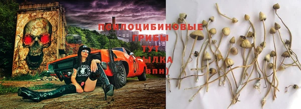 МДМА Богданович
