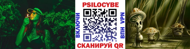 Псилоцибиновые грибы мухоморы  hydra ссылка  Тверь  как найти наркотики 
